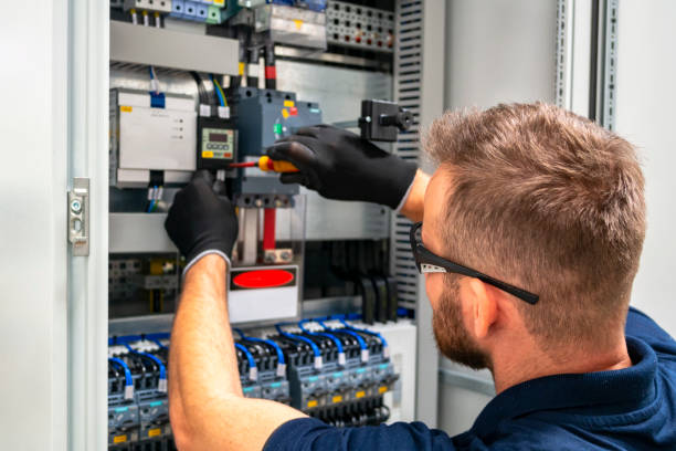Best Electric Panel Repair  in Carrollton, VA